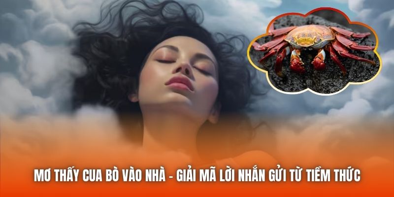 Mơ Thấy Cua Bò Vào Nhà - Giải Mã Lời Nhắn Gửi Từ Tiềm Thức